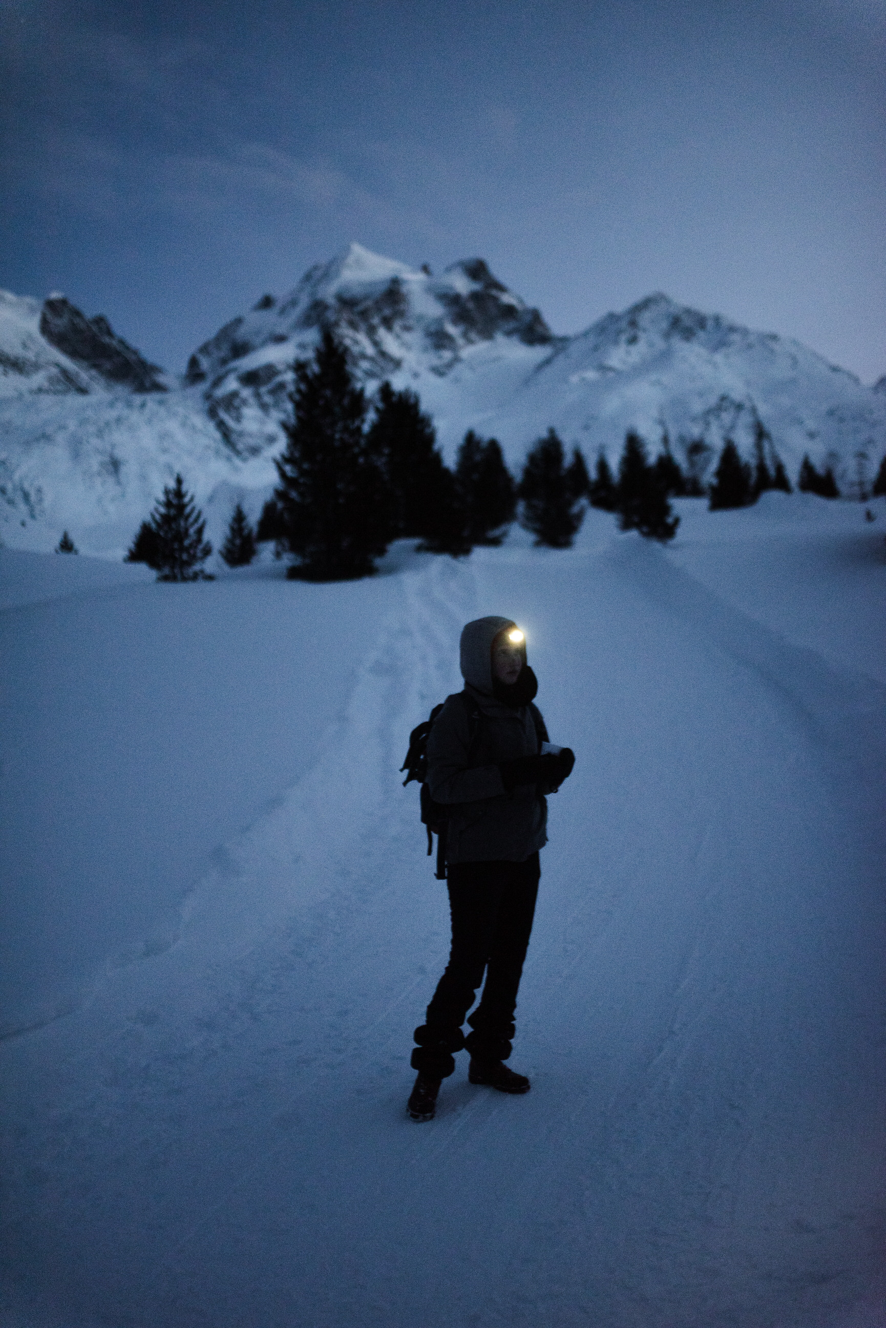 photo of winter snowshoe